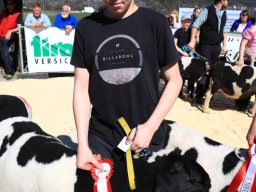 2019_ausstellung polling_551